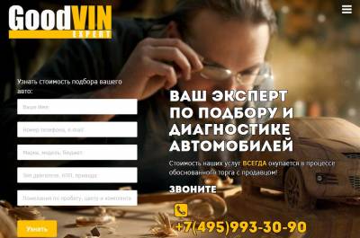 Автоподбор GoodVIN Expert (goodvin-expert.ru)